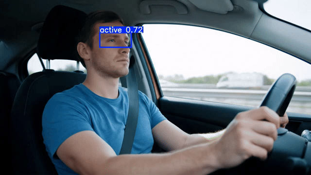 Driver Safety AI Demo